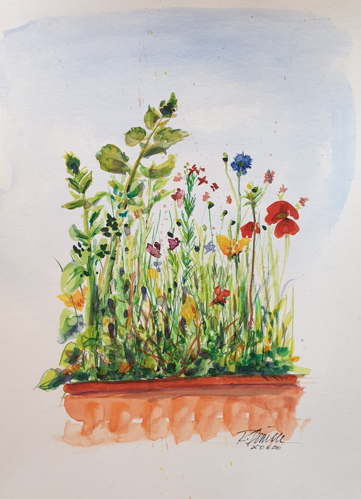 Hochzeits-Balkonkasten